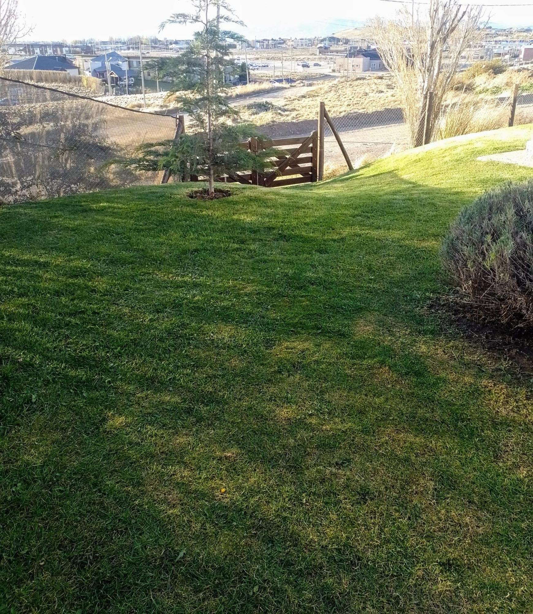 Cabana La Marilena, Para 2 Huespedes Con Desayuno El Calafate Extérieur photo